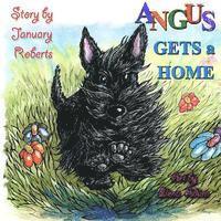 bokomslag Angus Gets a Home