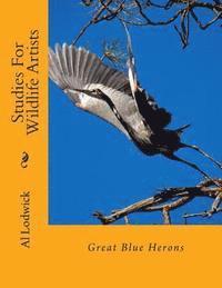 bokomslag Great Blue Herons: Studies For Wildlife Artists