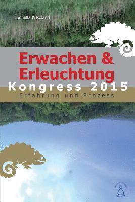 bokomslag Erwachen & Erleuchtung: Erfahrung und Prozess