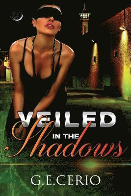 Veiled in the Shadows 1