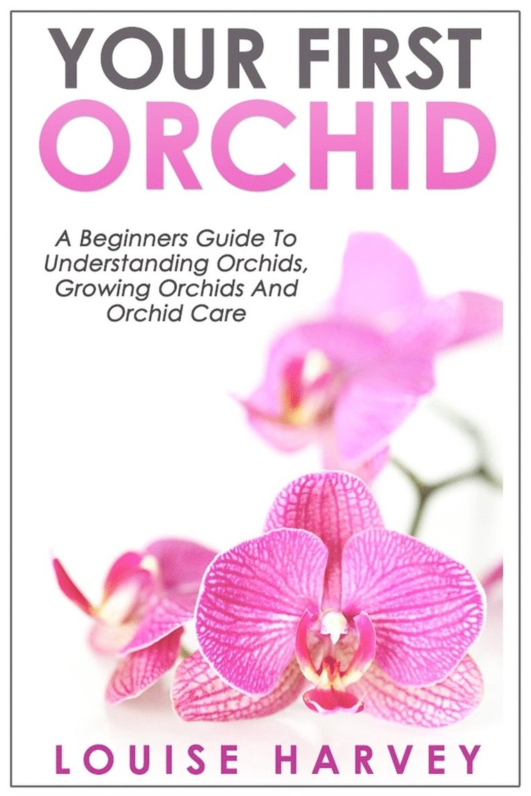 Your First Orchid 1