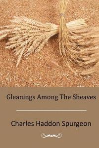 bokomslag Gleanings Among The Sheaves