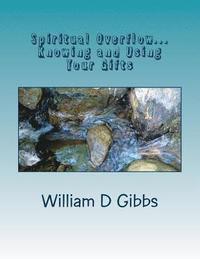 bokomslag Spiritual Overflow: Knowing and Using Your Gifts