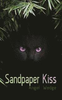 bokomslag Sandpaper Kiss