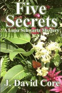 bokomslag Five Secrets: A Lupa Schwartz Mystery