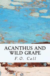 Acanthus and Wild Grape 1