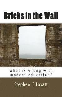 bokomslag Bricks in the Wall: What is wrong with modern education?