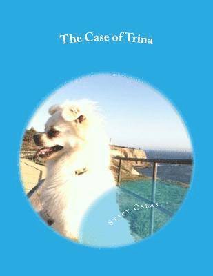 Stacy Oseas - The Case of Trina: Why Adoption Matters, Häftad