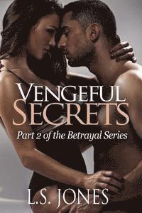 Vengeful Secrets 1