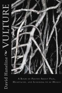 bokomslag Vulture: A book of poems about pain, heartache, and learning to be myself