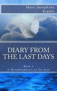 bokomslag Diary From The Last Days Book 2: A Metamorphosis Of The Soul