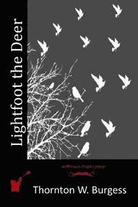 Lightfoot the Deer 1