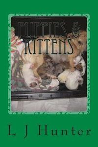 bokomslag Puppies & Kittens