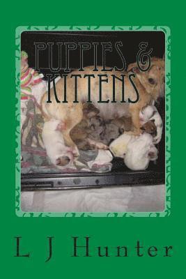 bokomslag Puppies & Kittens