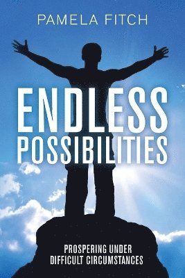 Pamela Fitch - Endless Possibilities, Häftad