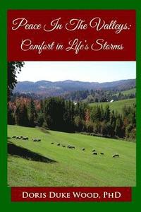 bokomslag Peace In The Valleys: Comfort in Life's Storms