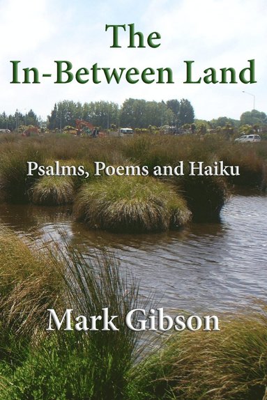 bokomslag In-Between Land