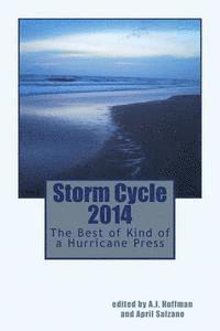 bokomslag Storm Cycle 2014