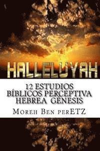 bokomslag 12 Estudios BIblicos perceptiva hebrea GENESIS: Perceptiva Hebrea