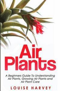 Air Plants 1