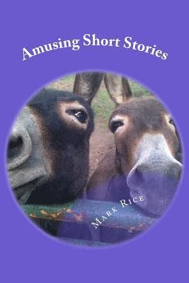 bokomslag Amusing Short Stories: Life observations & humerous musings