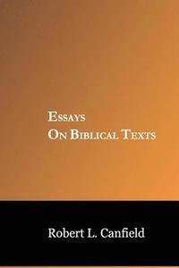 bokomslag Essays on Biblical Texts