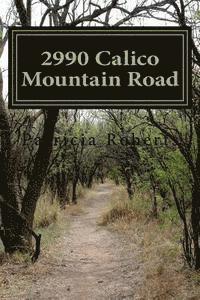 bokomslag 2990 Calico Mountain Road