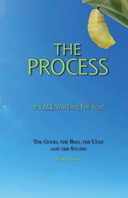 bokomslag The Process: It's All Working for you! the good, the bad, the ugly and the stupid