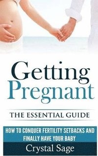 bokomslag Getting Pregnant