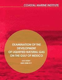 bokomslag Examination of the Development of Liquefied Natural Gas on the Gulf of Mexico