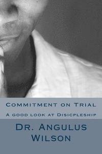 bokomslag Commitment on Trial: A good look at Disicpleship