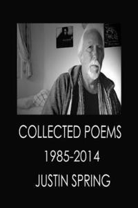 bokomslag Collected Poems 1985-2014