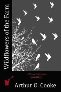 Wildflowers of the Farm