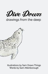 bokomslag Dive Down: Drawings from the Deep