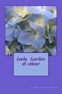 bokomslag Gods Garden in colour