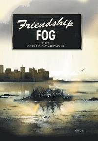 bokomslag Friendship Fog