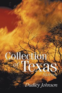 bokomslag Collection of Texas Stories