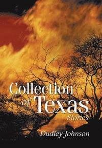 bokomslag Collection of Texas Stories