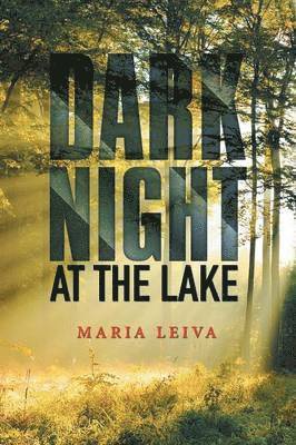 &quot;Dark Night at the Lake&quot; 1