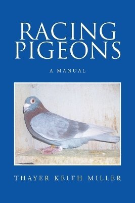 Racing Pigeons 1