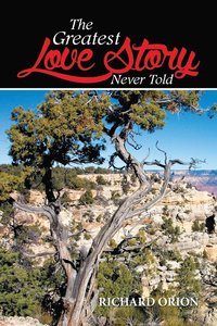 bokomslag Greatest Love Story Never Told