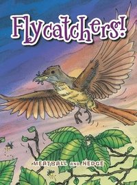 bokomslag Flycatchers!