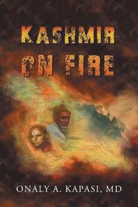 bokomslag Kashmir on fire