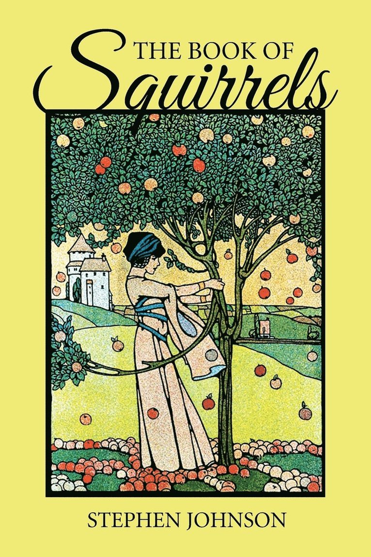 Stephen Johnson - Book of Squirrels, Häftad