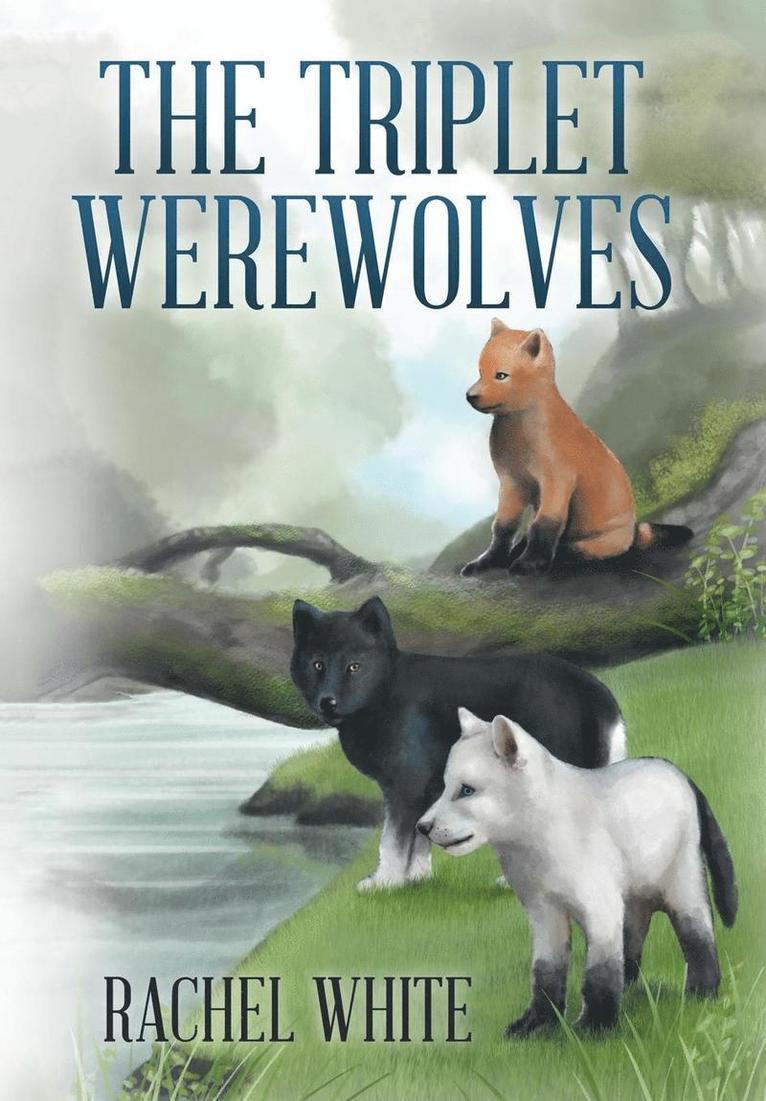 Rachel White - Triplet Werewolves, Inbunden