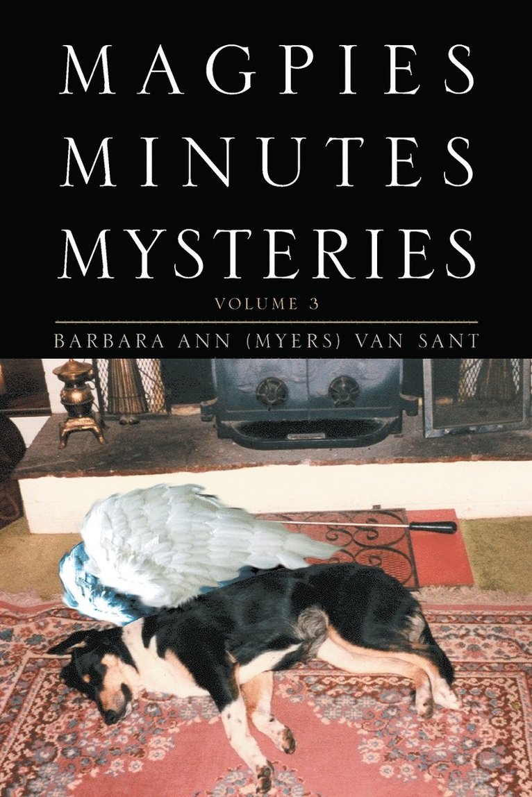 Barbara Ann (Myers) Van Sant, Barbara Ann (Myers) Van Sant - Magpies Minutes Mysteries, Häftad