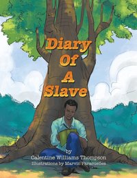 bokomslag Diary Of A Slave