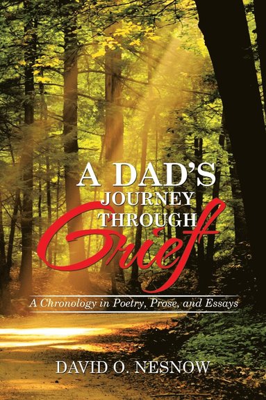 bokomslag Dad's Journey Through Grief