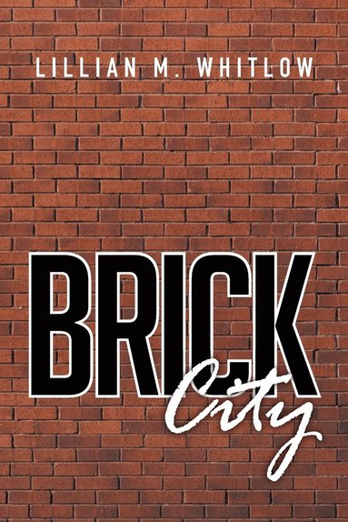 bokomslag Brick City