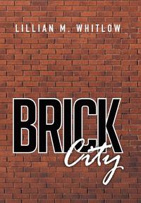 bokomslag Brick City